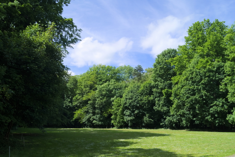 Park dworski w Noskowie