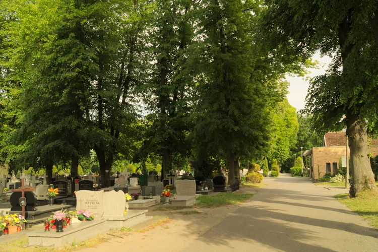 Cmentarz_komunalny