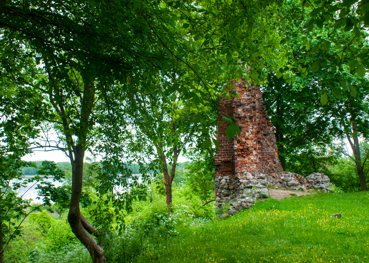 Ruiny Zamku w Drawnie , pozostałość po zamku wybudowanym przez braci Wedlów w roku 1296