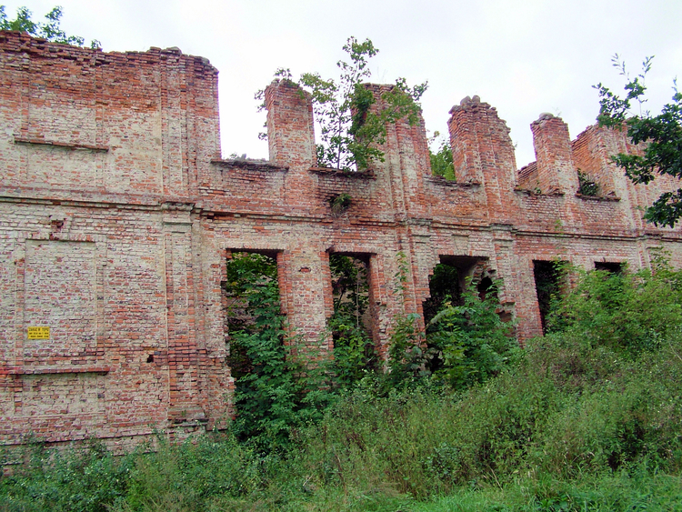 Ruiny zespołu pałacowego