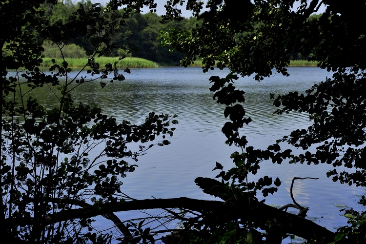 Jezioro Ostrowieckie