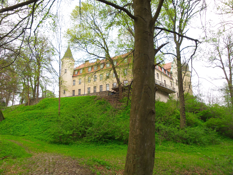 Zamek Wedlów-Tuczyńskich
