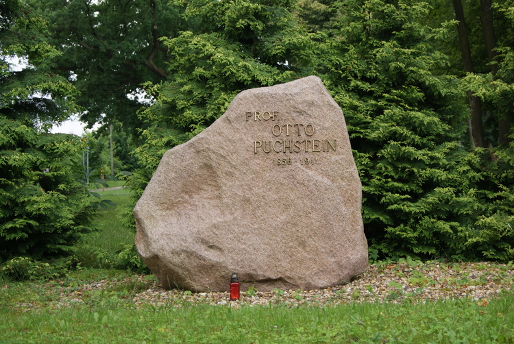 Kamień Pamięci Ottona Puchsteina