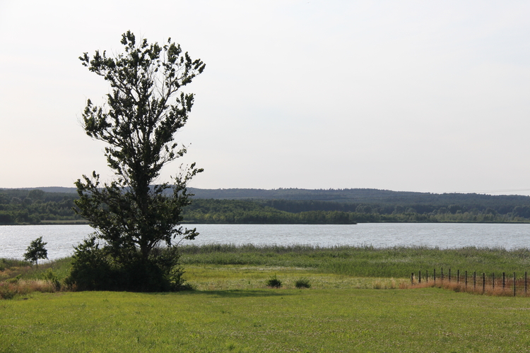 Jezioro Koprowo