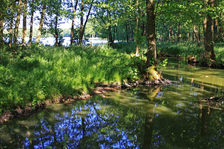 Jezioro Myśliborskie Małe