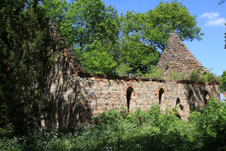 Ruiny kościoła w Pargowie