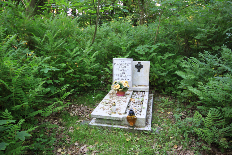 Cmentarz poewangelicki w Trzebieży