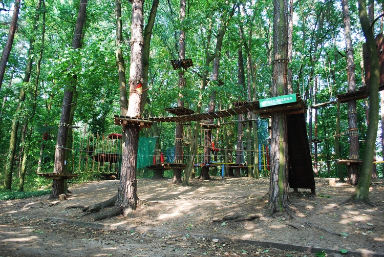 Park Linowy Tarzania