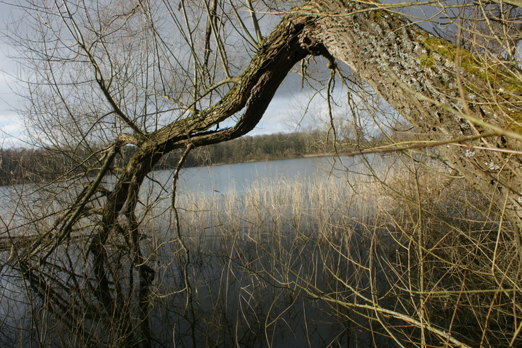 Park dworski pięknie położony nad jeziorem.