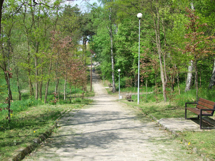Park Miejski w Tucznie