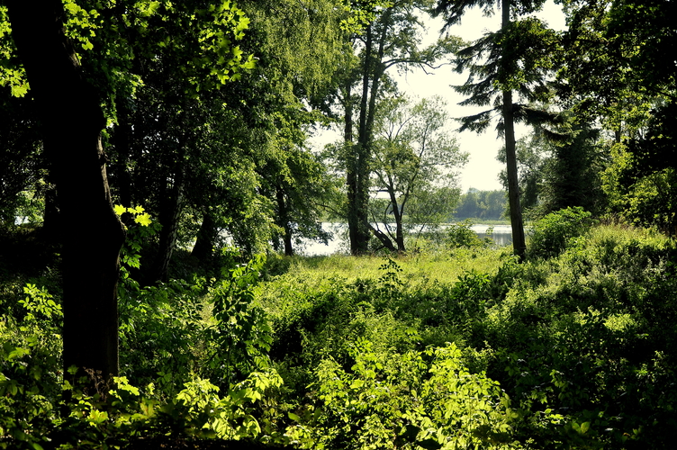 Jezioro Renickie
