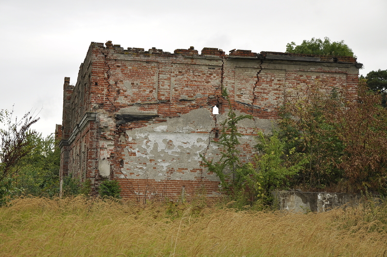Ruiny pałacu w Batowie