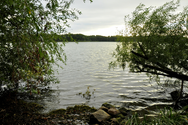 Jezioro Czernikowskie
