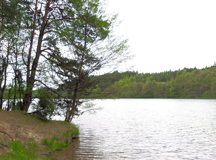 Jezioro Trzebińskie