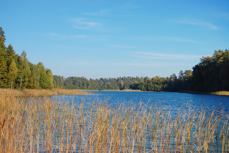 Jezioro Krzemienko