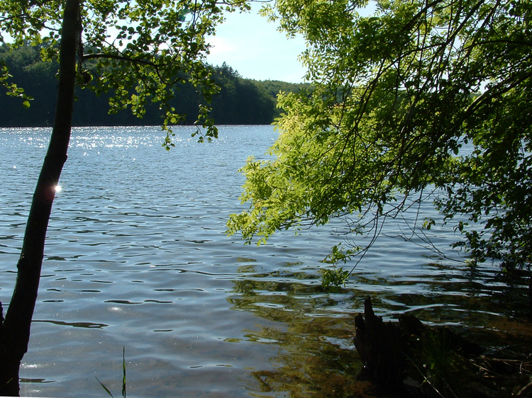 Lake_Kamienica