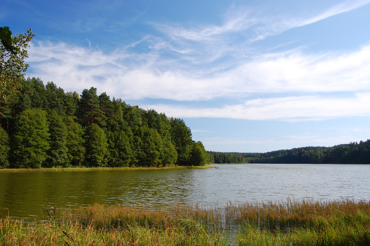 Jezioro_Kolbackie