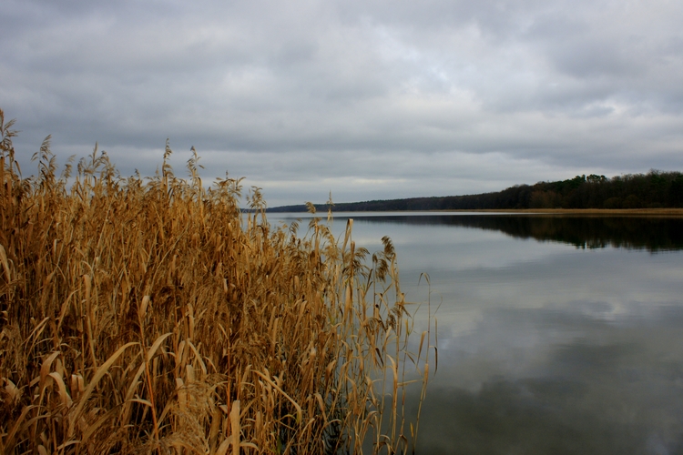 Jezioro Długie (Swobnickie).