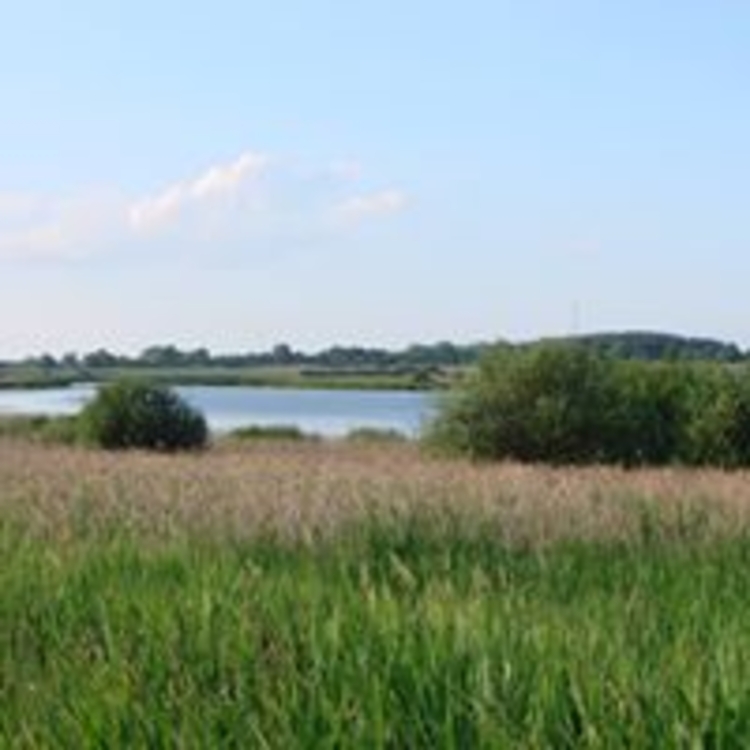 Jezioro Klasztorne gm. Trzcińsko-Zdrój.jpg