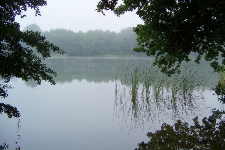 Jezioro_Wilczkowo_gm_Brzezno