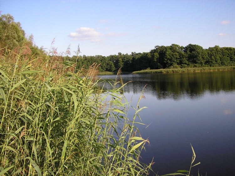 Jezioro Raduń 2195681 Choszczno.jpg