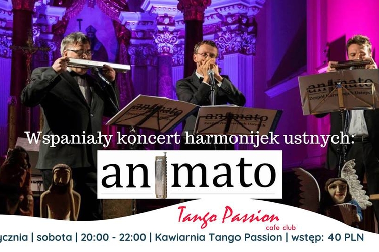 Trio_Animato_Harmonijki_ustne_koncert