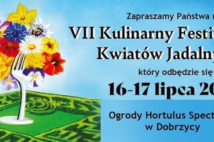 VII_Kulinarny_Festiwal_Kwiatow_Jadalnych