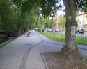 Zdjęcie przedstawia początek szlaku przy zamku w Szczecinku, oznakowanie szlaków pieszych i rowerowych na drzew                                                                                         