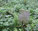 Zdjęcie przedstawia cmentarz w Raduniu. Na pierwszym planie widać jeden z nagrobków.                                                                                                                    