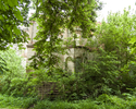 Zdjęcie przedstawia ruiny pałacu w Witnicy. Na pierwszym planie widać drzewa, które przysłaniają elewację zabytku.                                                                                      