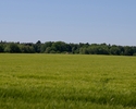 Na zdjęciu widnieje Głaz narzutowy Flemingów, widok od drogi prowadzącej z drogi S3 do Babigoszczy                                                                                                      