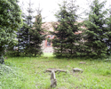 Zdjęcie przedstawia cmentarz przykościelny w Dołgich. Na pierwszym planie widoczne są zdewastowane, niemieckie nagrobki. W tle znajdują się drzewa iglaste, a za nimi boczna elewacja kościoła.         