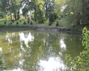 Zdjęcie przedstawia park w Białęgach. Na pierwszym planie widać staw.                                                                                                                                   