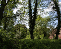 Zdjęcie przedstawia park w Swobnicy. Na pierwszym planie widać porośnięte drzewa. W tle po prawej stronie  widoczny jest fragment zamku.                                                                