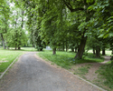 Zdjęcie przedstawia park w Zielinie. Na pierwszym planie widać aleję spacerową.                                                                                                                         