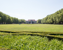 Zdjęcie przedstawia Park Kasprowicza w Szczecinie. Na pierwszym planie widać zieloną polanę na Jasnych Błoniach.                                                                                        