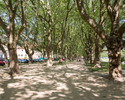 Zdjęcie przedstawia Park Kasprowicza w Szczecinie. Na pierwszym planie widać aleję spacerową obok Jasnych Błoni.                                                                                        
