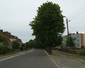 Zdjęcie przedstawia główną drogę we wsi Wiekowo wraz z zabudowaniami.                                                                                                                                   