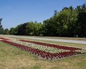 Zdjęcie przedstawia Park Kasprowicza w Szczecinie. Na pierwszym planie widać białe i czerwone kwiaty zasadzone pomiędzy spacerowymi alejami, w tle pomnik Trzech Orłów.                                 