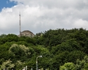 Zdjęcie przedstawia wieżę Bismarcka w Szczecinie. Na pierwszym planie widać otaczający zabytek las. Nad koronami drzew widoczny jest szczyt wieży.                                                      