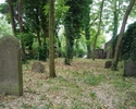 Zdjęcie przedstawia cmentarz żydowski w Moryniu. Na pierwszym planie widać kilka żydowskich nagrobków.                                                                                                  