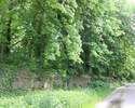 Zdjęcie przedstawia park w Czachowie. Na pierwszym planie widać asfaltową drogę, po lewej stronie mur otaczający park i drzewa.                                                                         