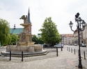 Zdjęcie przedstawia teren starego miasta w Szczecinie. Na pierwszym planie widać pl. Orła Białego z fontanną i rzeźbą orła.                                                                             