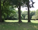 Zdjęcie przedstawia park w Brwicach. Na pierwszym planie widać kilka drzew, za nimi obszerna polana.                                                                                                    
