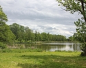 Zdjęcie przedstawia park w Goszkowie. Na pierwszym planie widać polanę, w tle tafla jeziora.                                                                                                            
