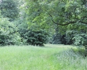 Zdjęcie przedstawia park w Dobropolu. Na pierwszym planie widać polanę w otoczeniu drzew.                                                                                                               