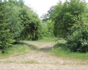 Zdjęcie przedstawia Park w Brwicach. Na pierwszym planie widać brukowaną drogę, która prowadzi w głąb parku.                                                                                            
