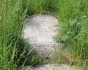 Zdjęcie przedstawia cmentarz żydowski w Baniach. Na pierwszym planie widać leżący w trawie nagrobek.                                                                                                    