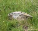 Zdjęcie przedstawia cmentarz żydowski w Baniach. Na pierwszym planie widać fragment nagrobku z czytelną inskrypcją w języku jidysz.                                                                     