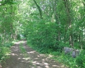 Zdjęcie przedstawia park w Krajniku Górnym. Na pierwszym planie widać aleję przebiegającą przez park.                                                                                                   